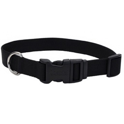 Dog collars pet barn best sale